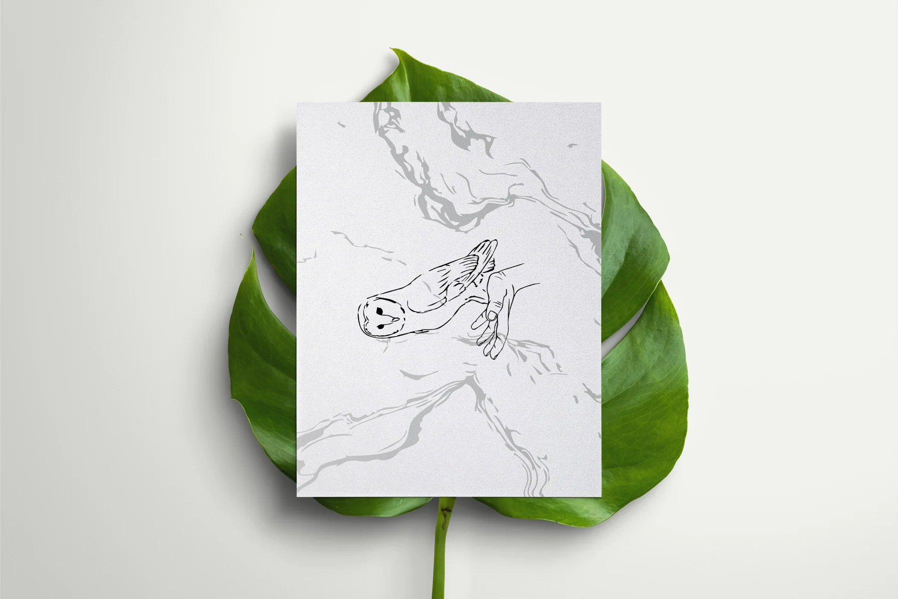 OWL — Parfumerie — visuel 3